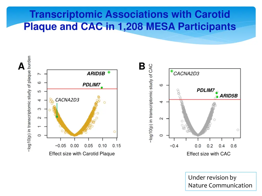 transcriptomic associations with carotid plaque