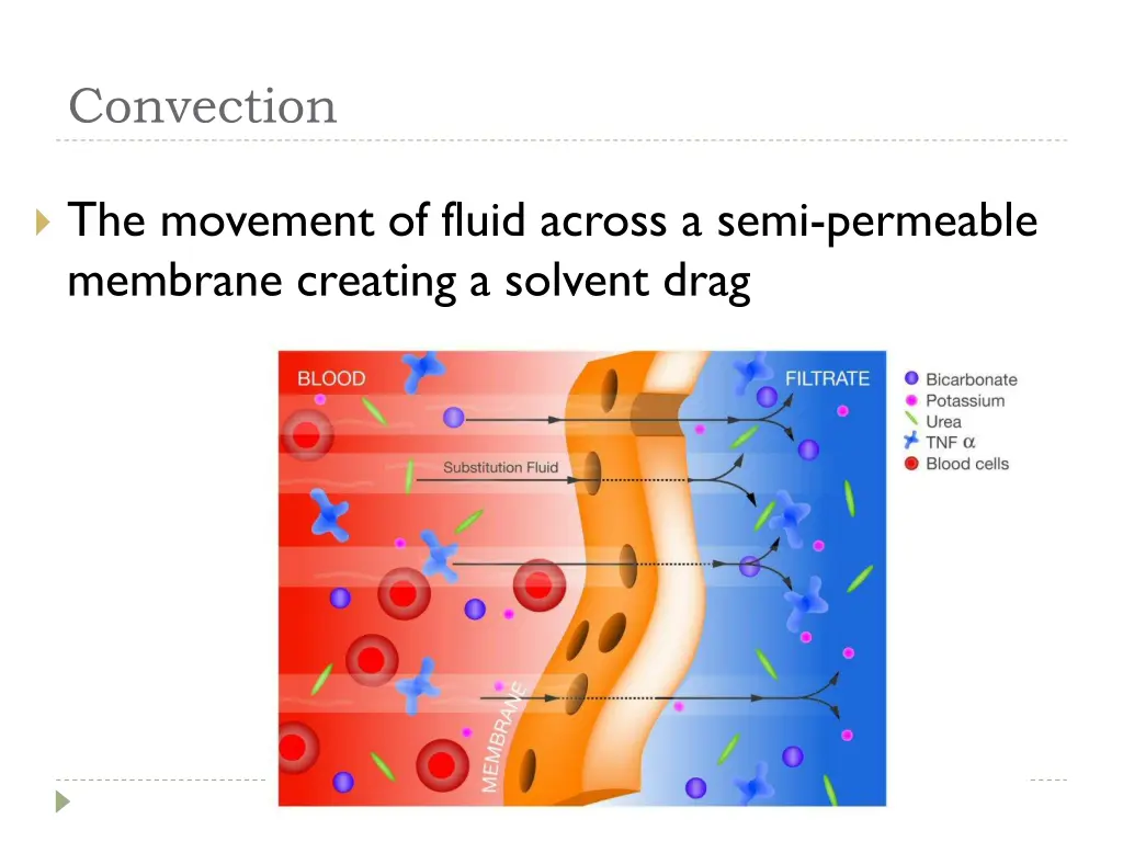 convection