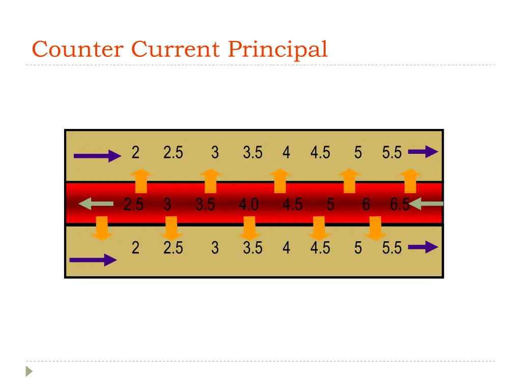 counter current principal
