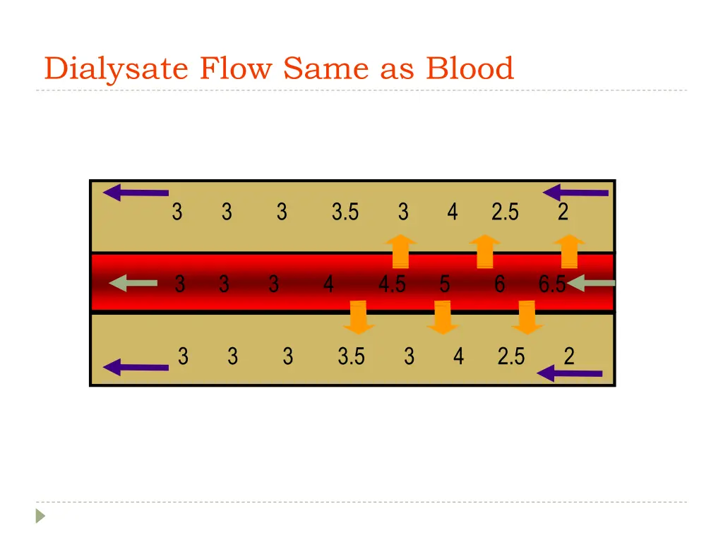 dialysate flow same as blood