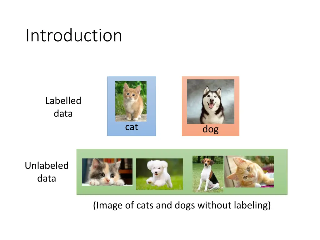 introduction