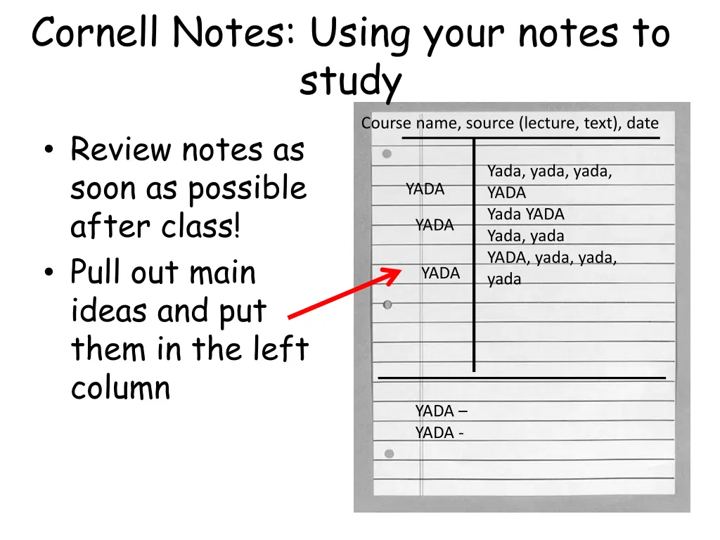 cornell notes using your notes to study