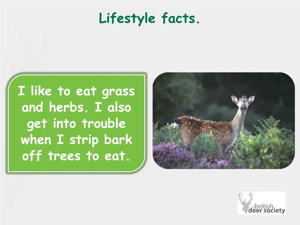 lifestyle facts