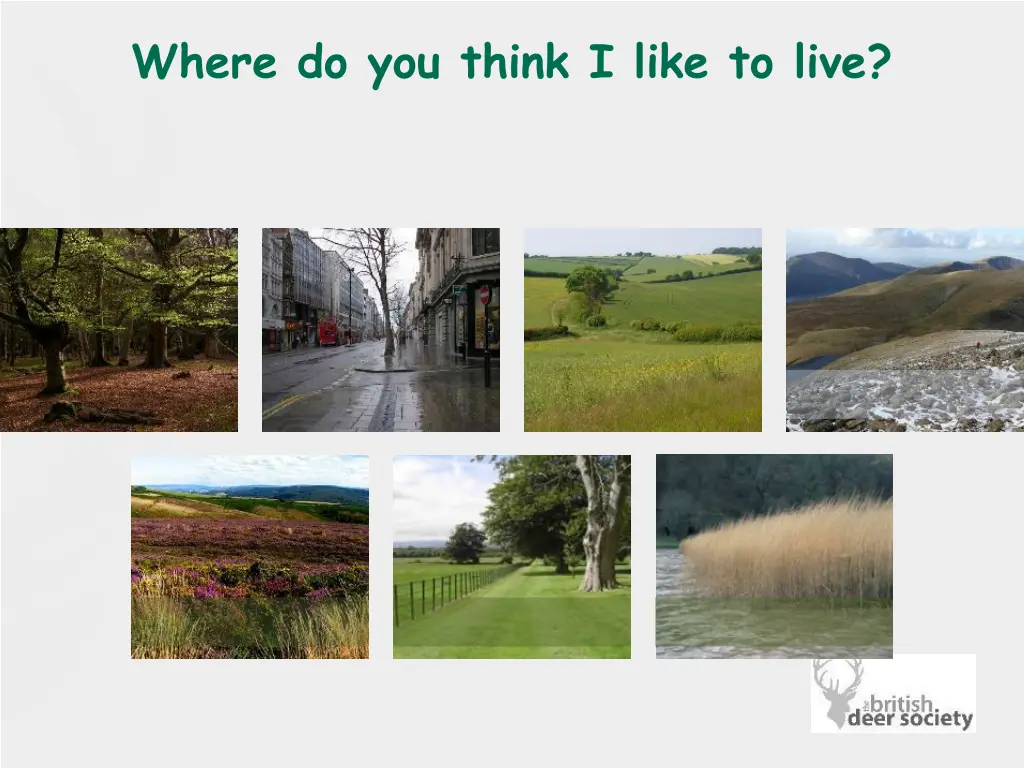 where do you think i like to live