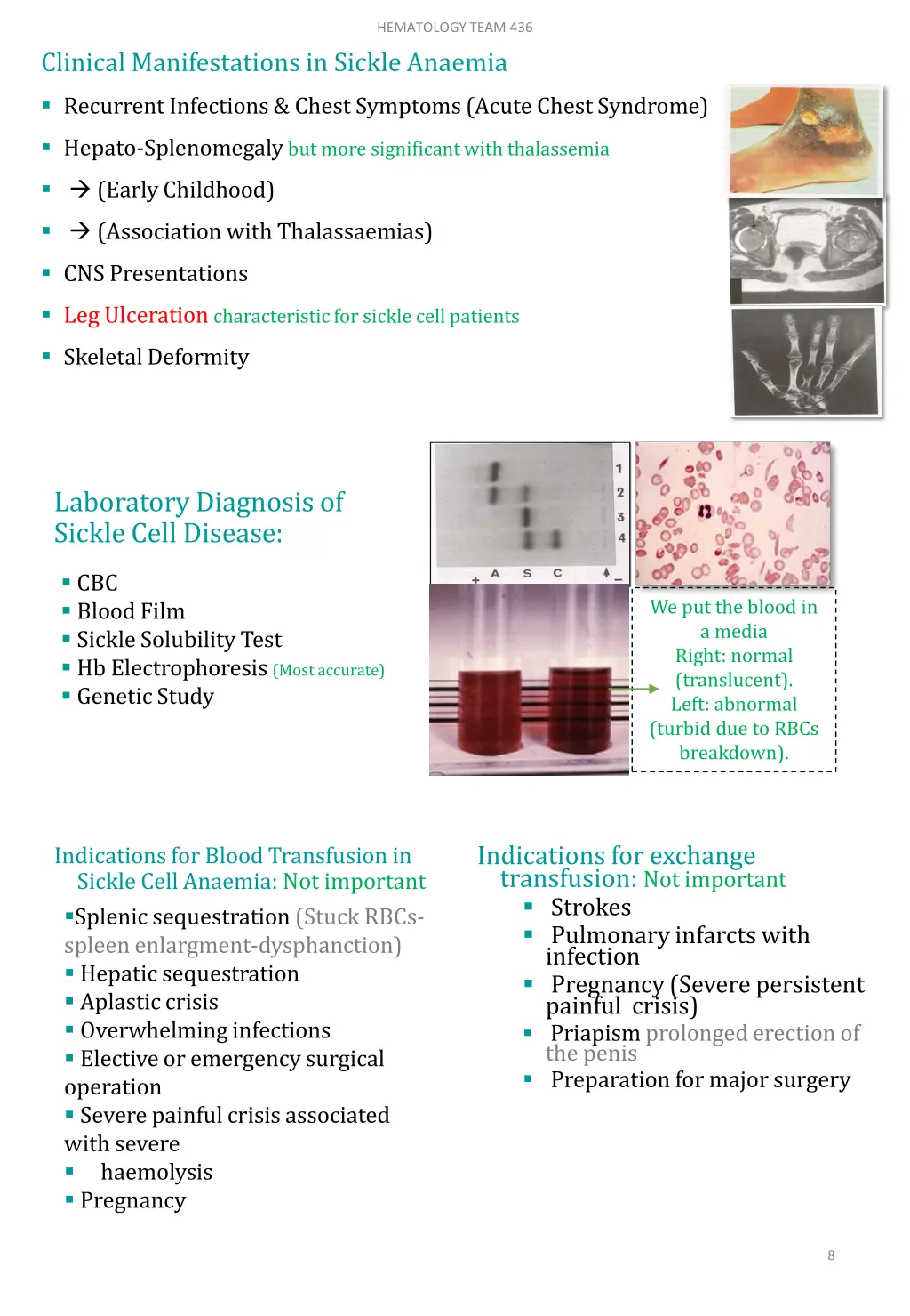 hematology team 436 5