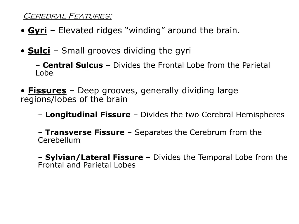 cerebral features