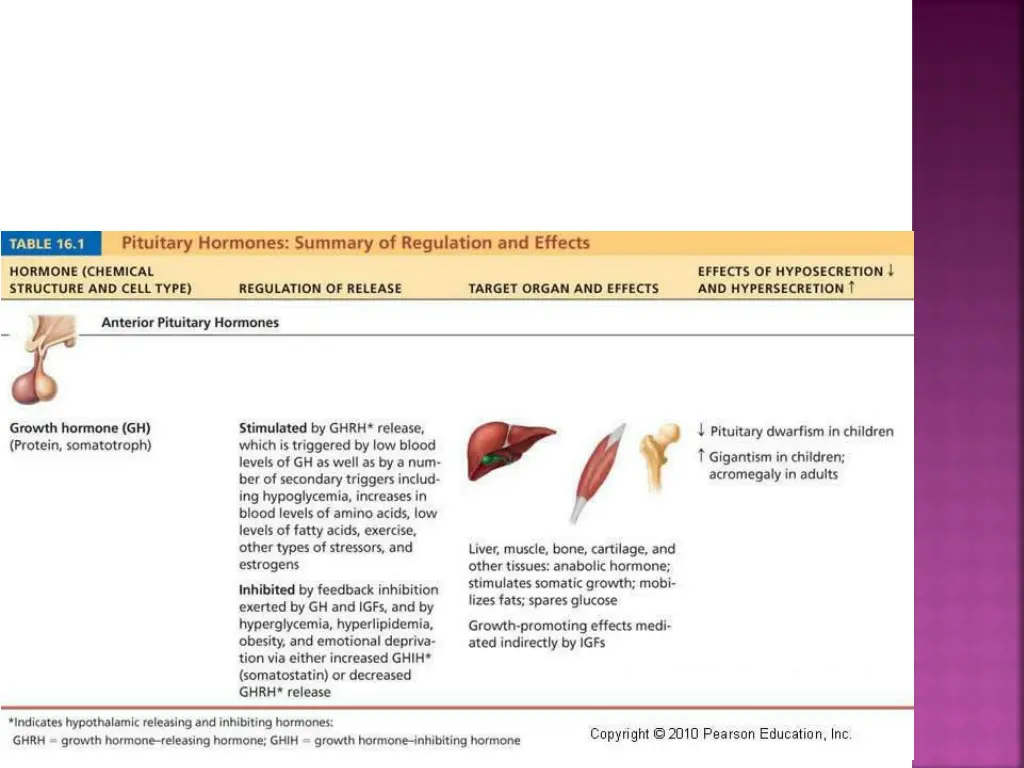 slide20