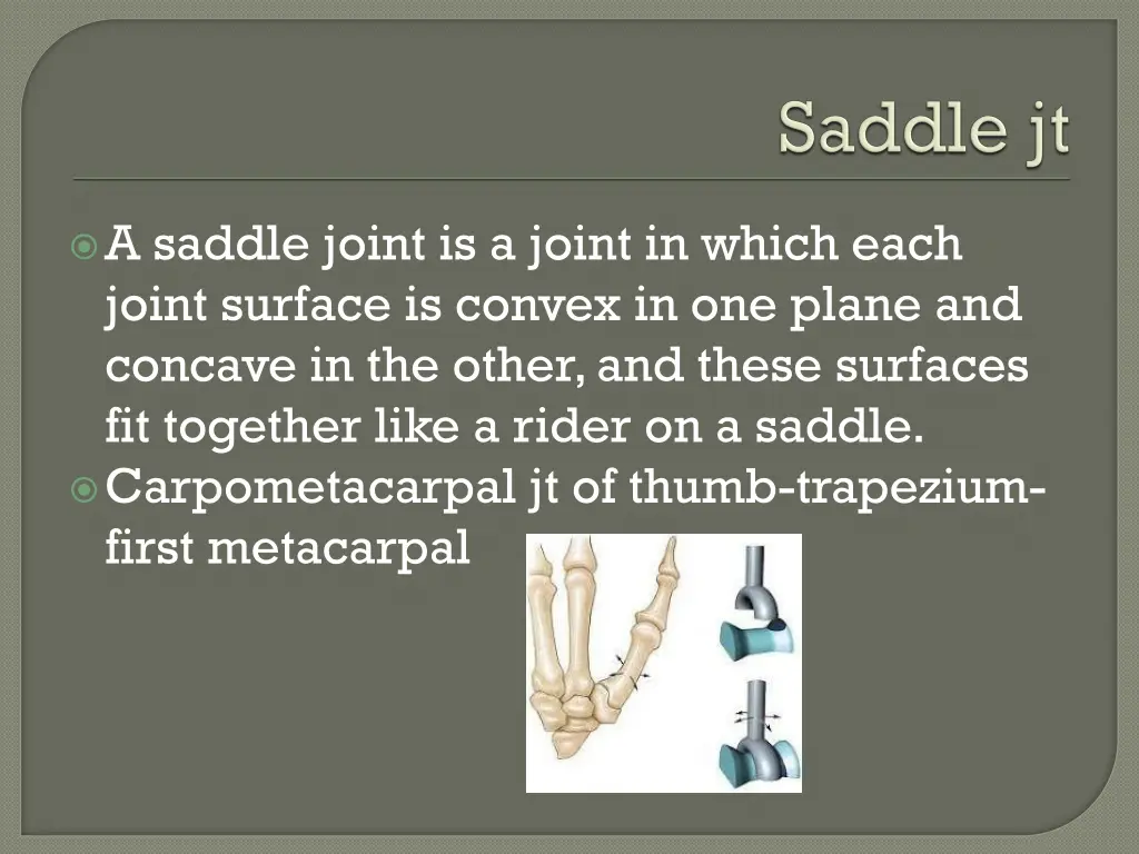 a saddle joint is a joint in which each joint