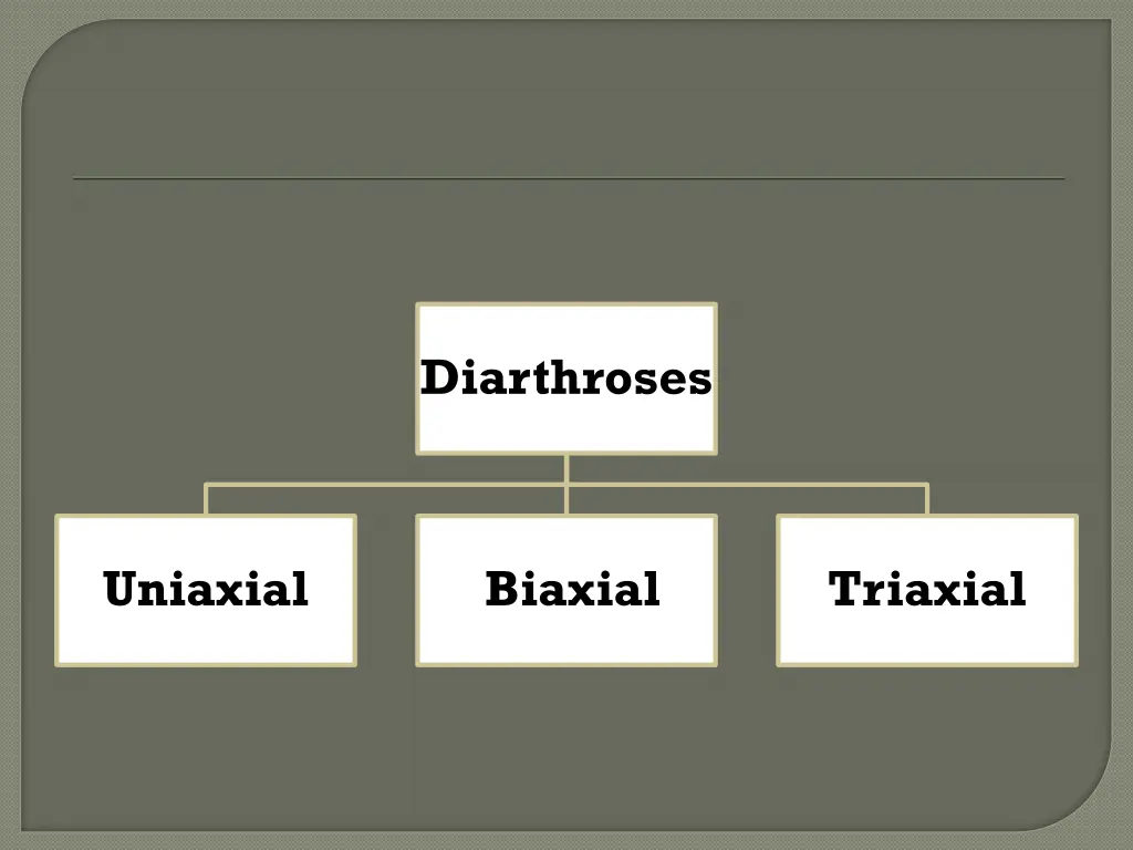 diarthroses