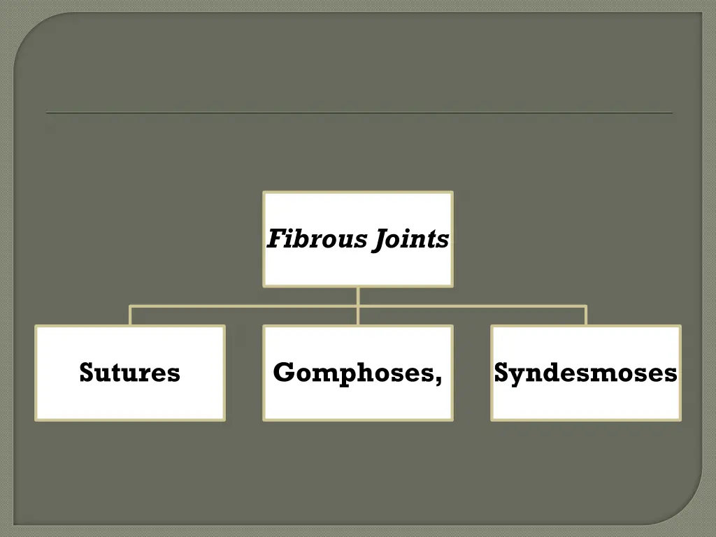 fibrous joints