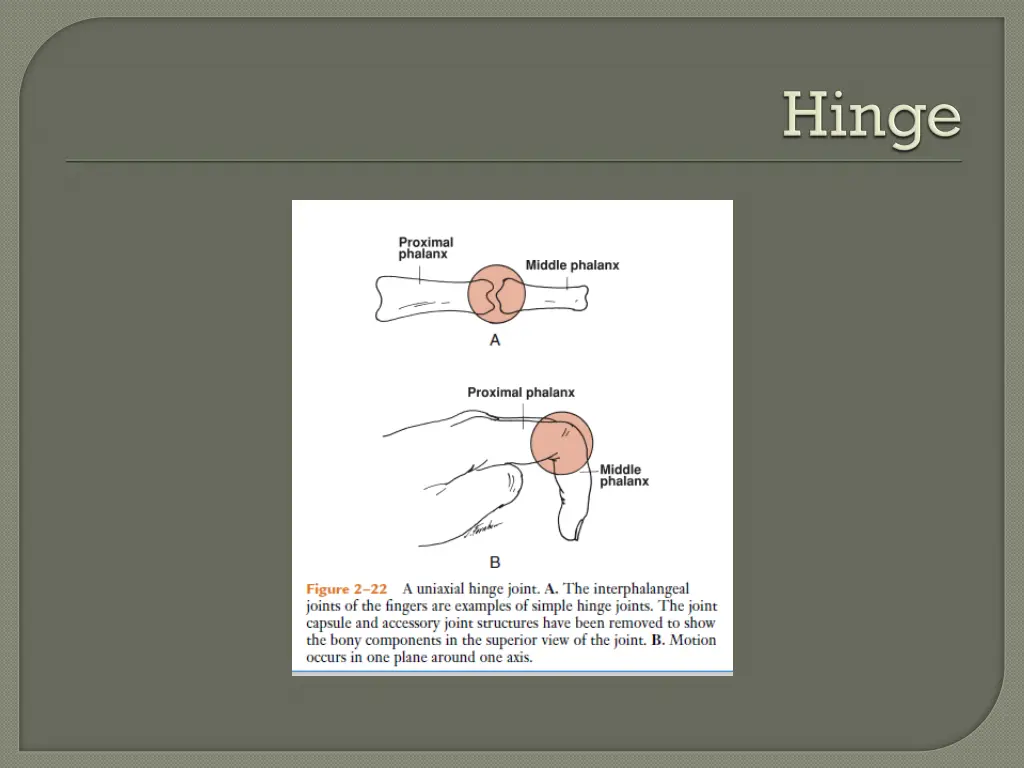 slide30