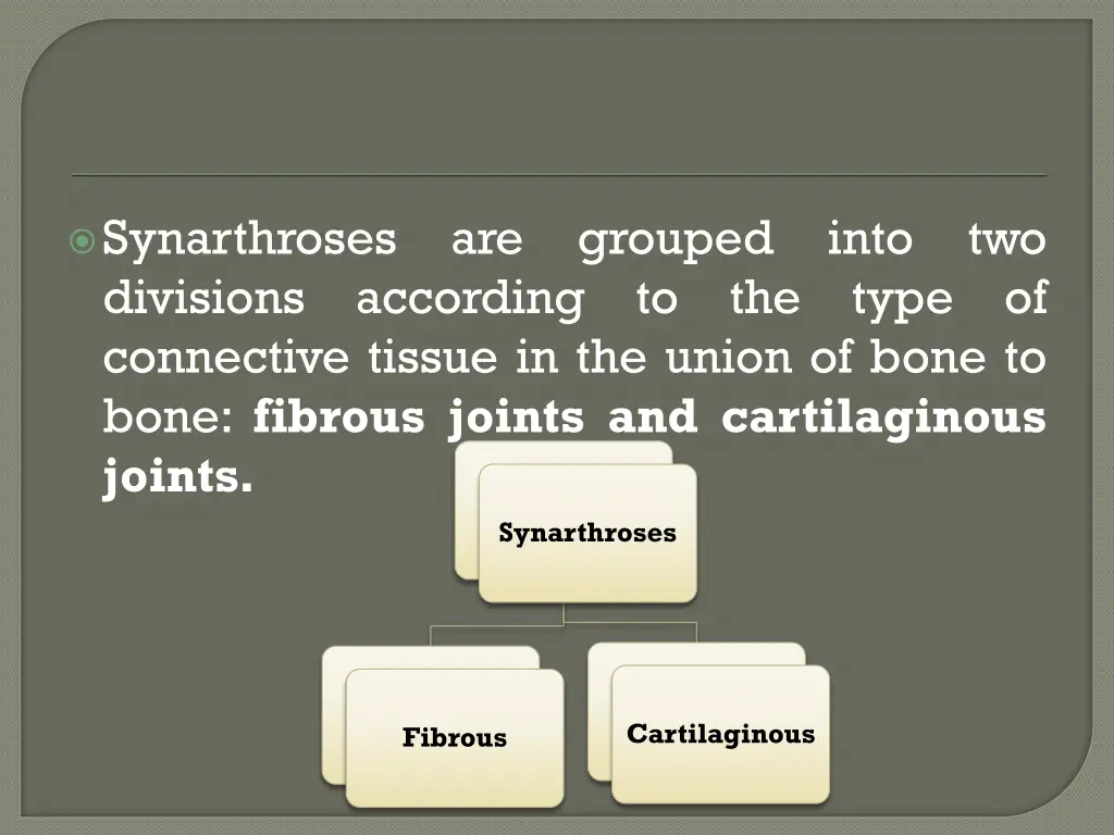 synarthroses divisions connective tissue