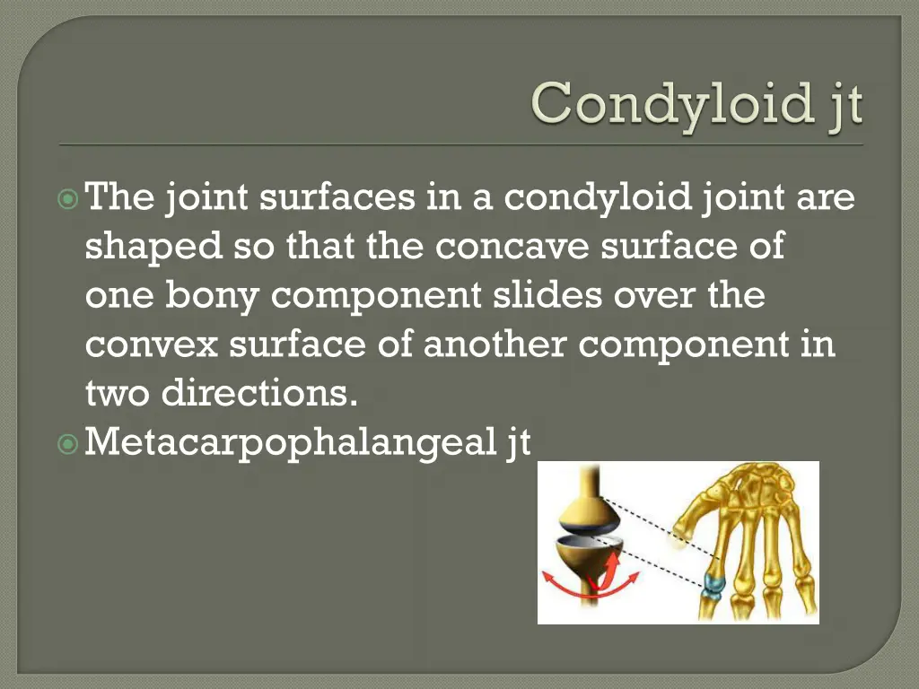 the joint surfaces in a condyloid joint