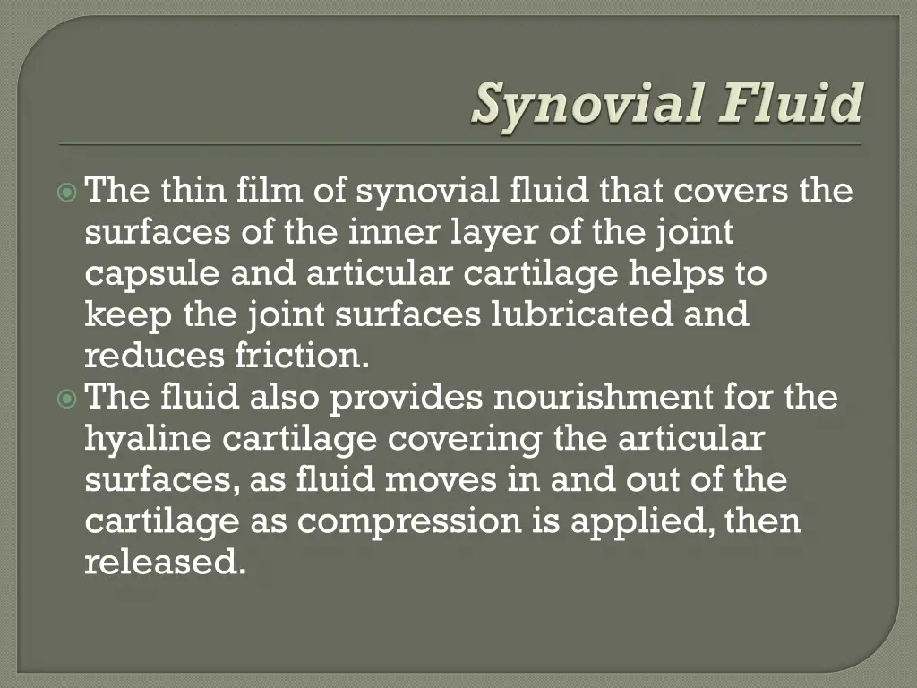 the thin film of synovial fluid that covers