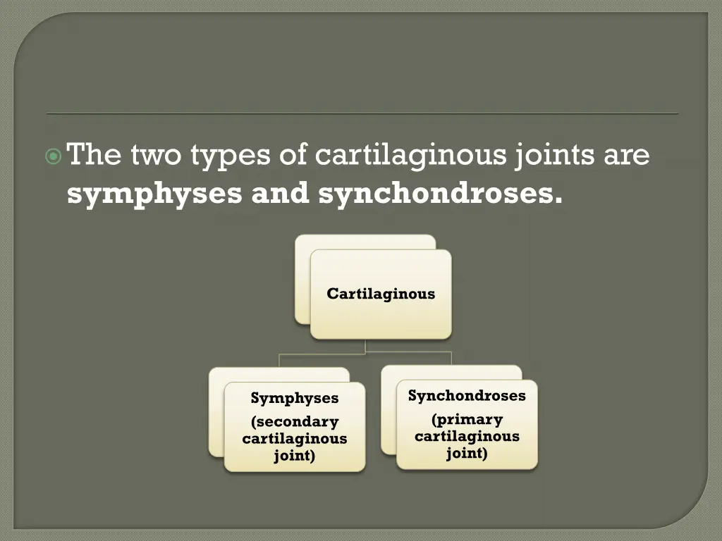 the two types of cartilaginous joints