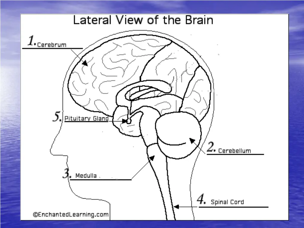 slide6