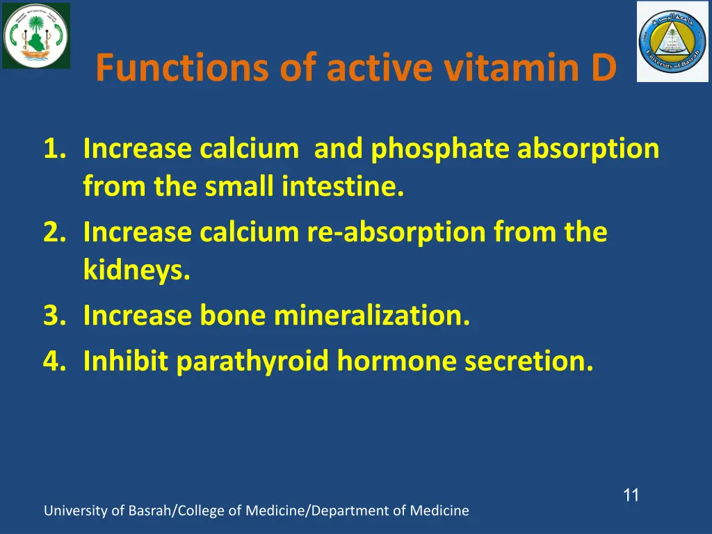 functions of active vitamin d