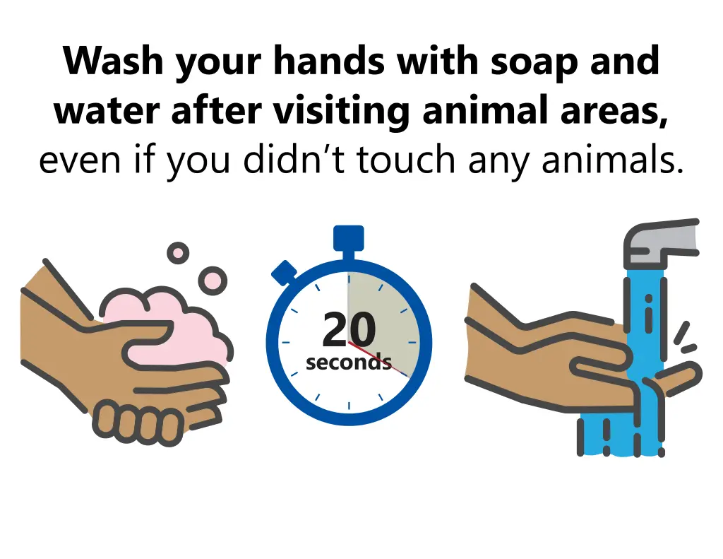 wash your hands with soap and water after