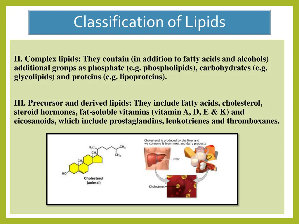 classification of lipids 1