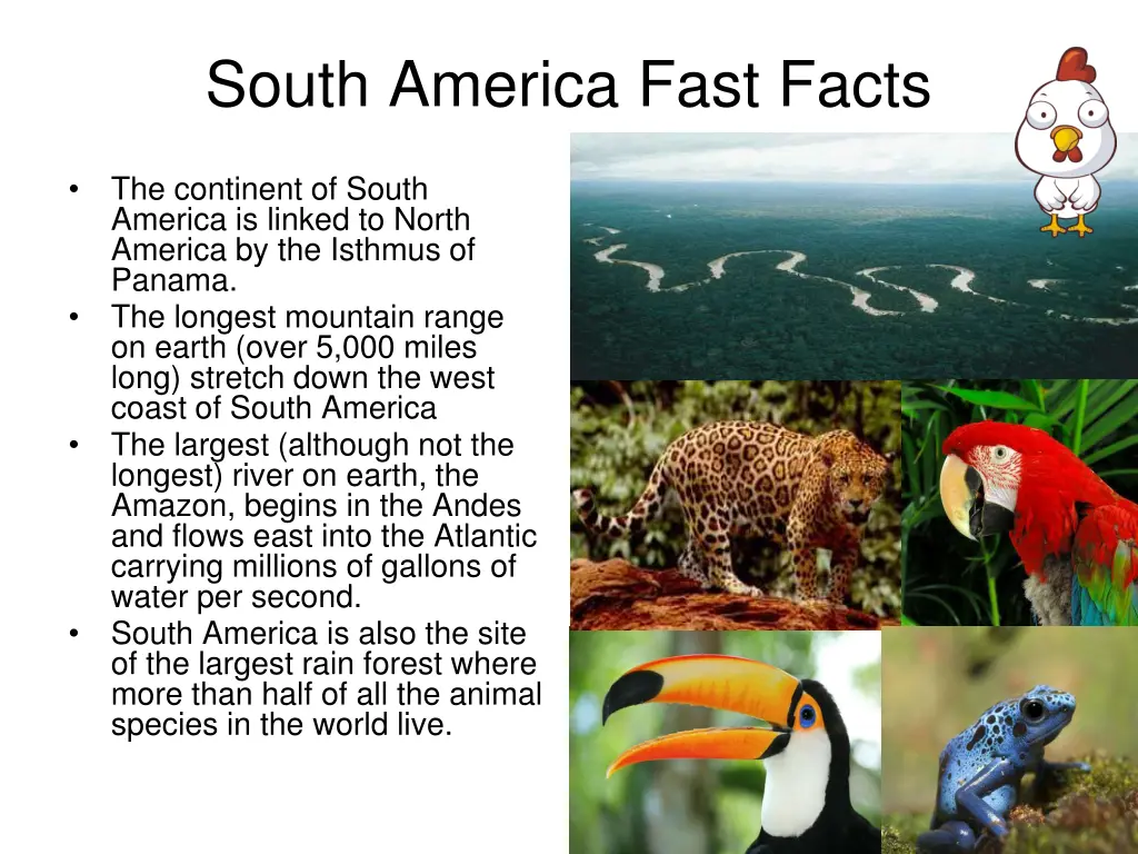 south america fast facts