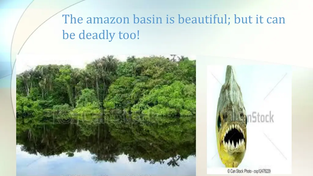 the amazon basin is beautiful