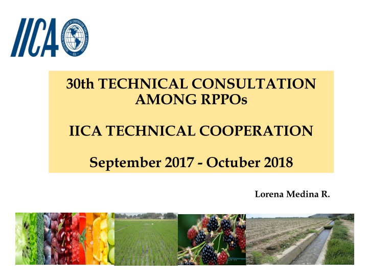 30th technical consultation among rppos