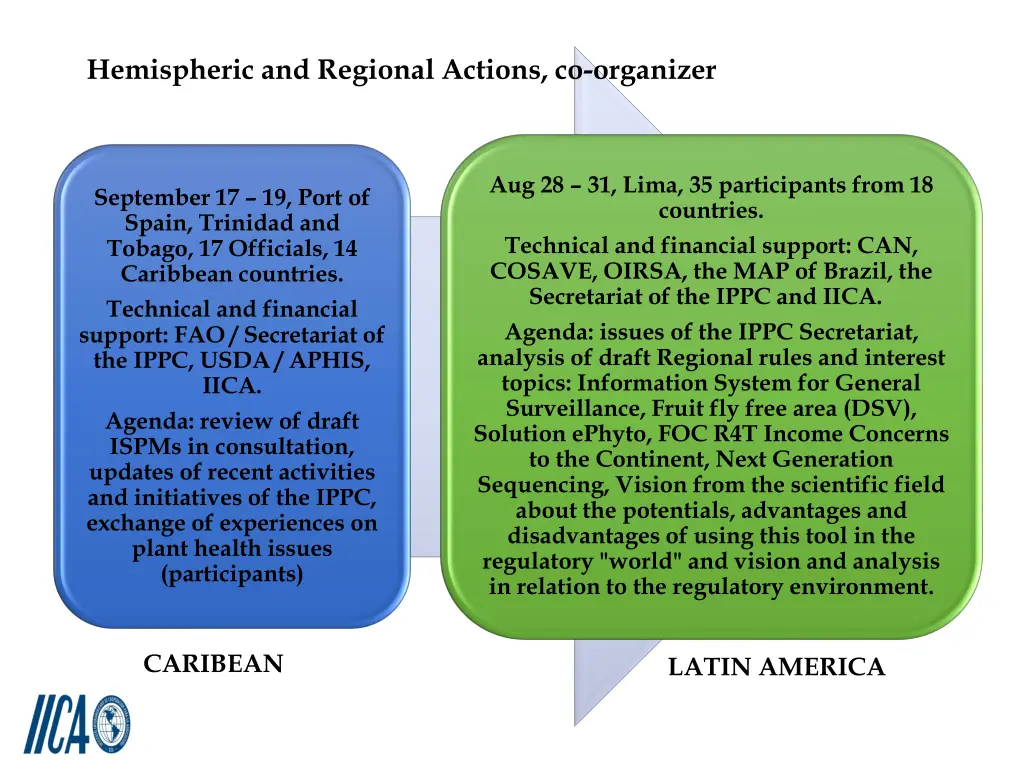 hemispheric and regional actions co organizer