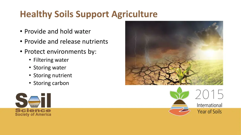 healthy soils support agriculture