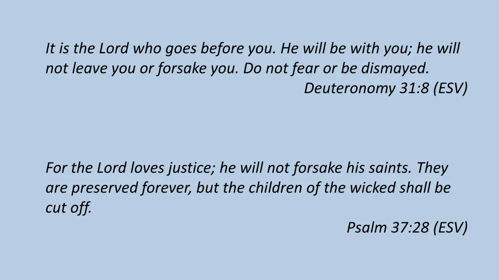 it is the lord who goes before you he will