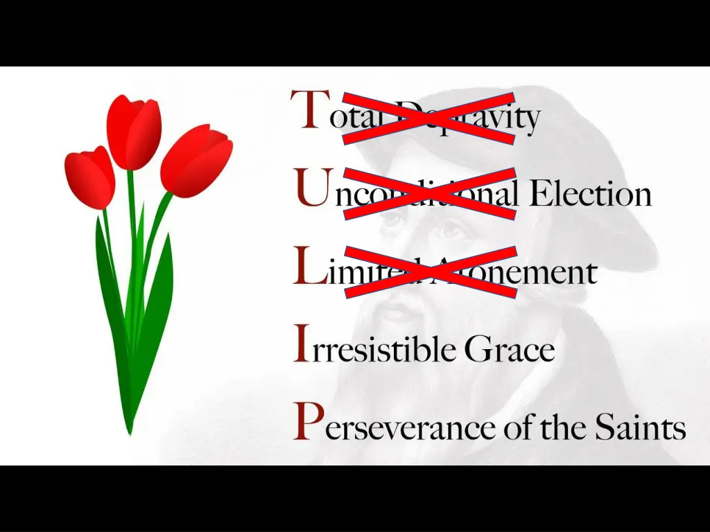 slide21