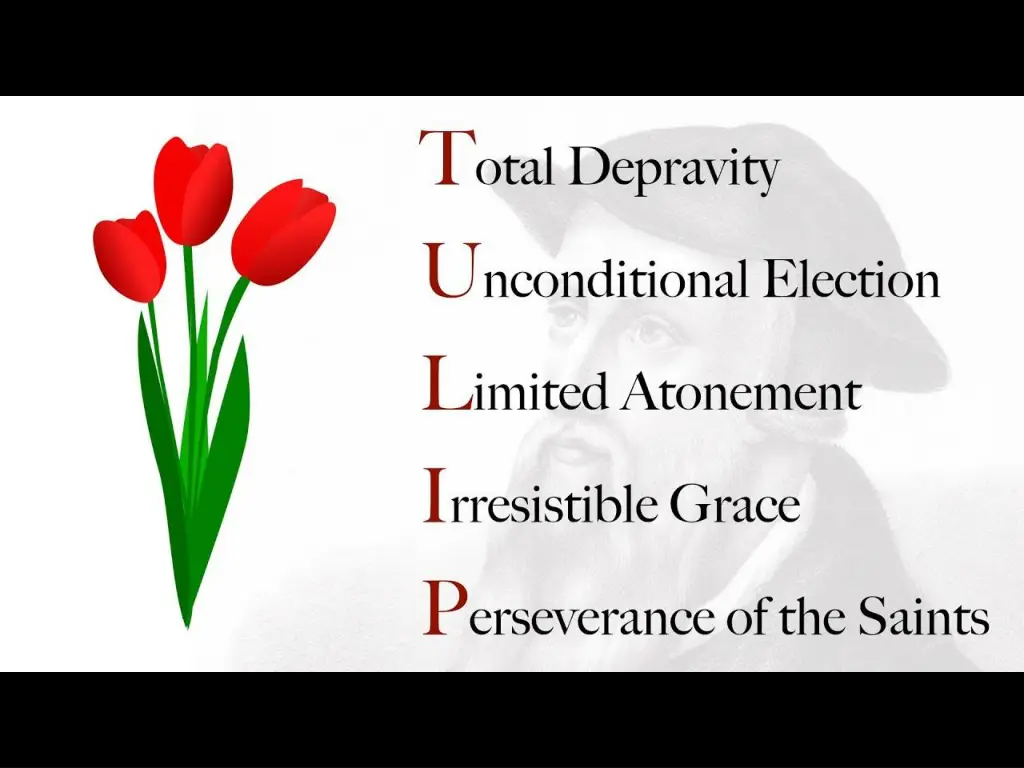 slide5