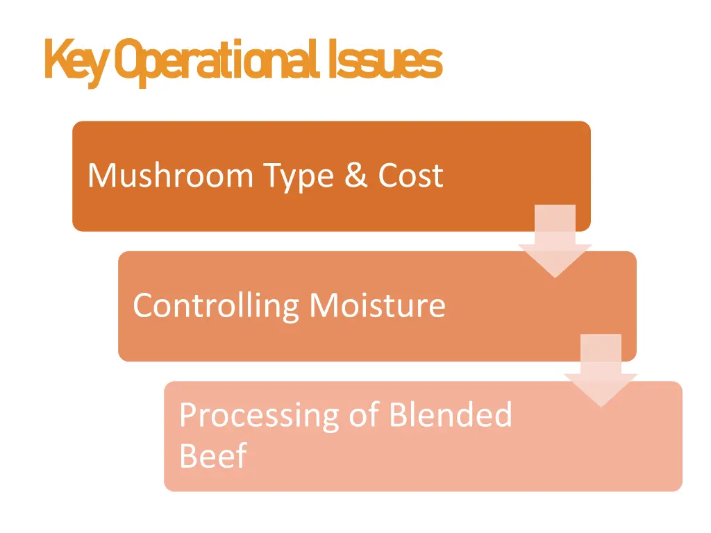 k ey operational issues k ey operational issues