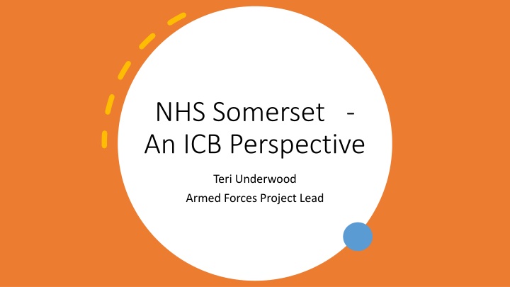 nhs somerset an icb perspective