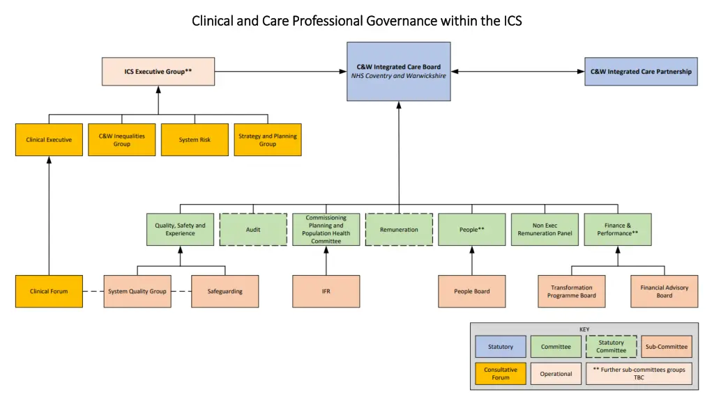 clinical and care professional governance within