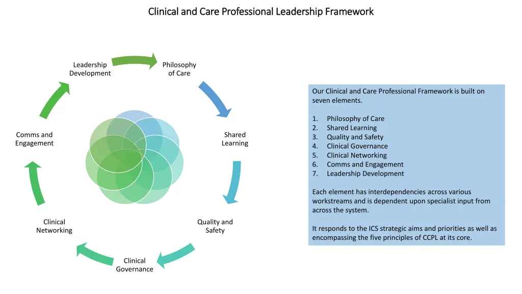 clinical and care professional leadership