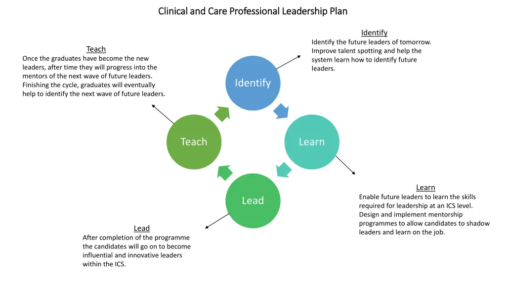 clinical and care professional leadership plan 1
