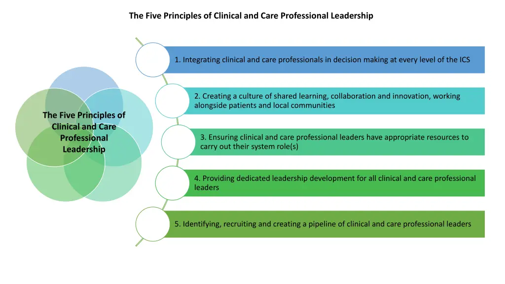 the five principles of clinical and care