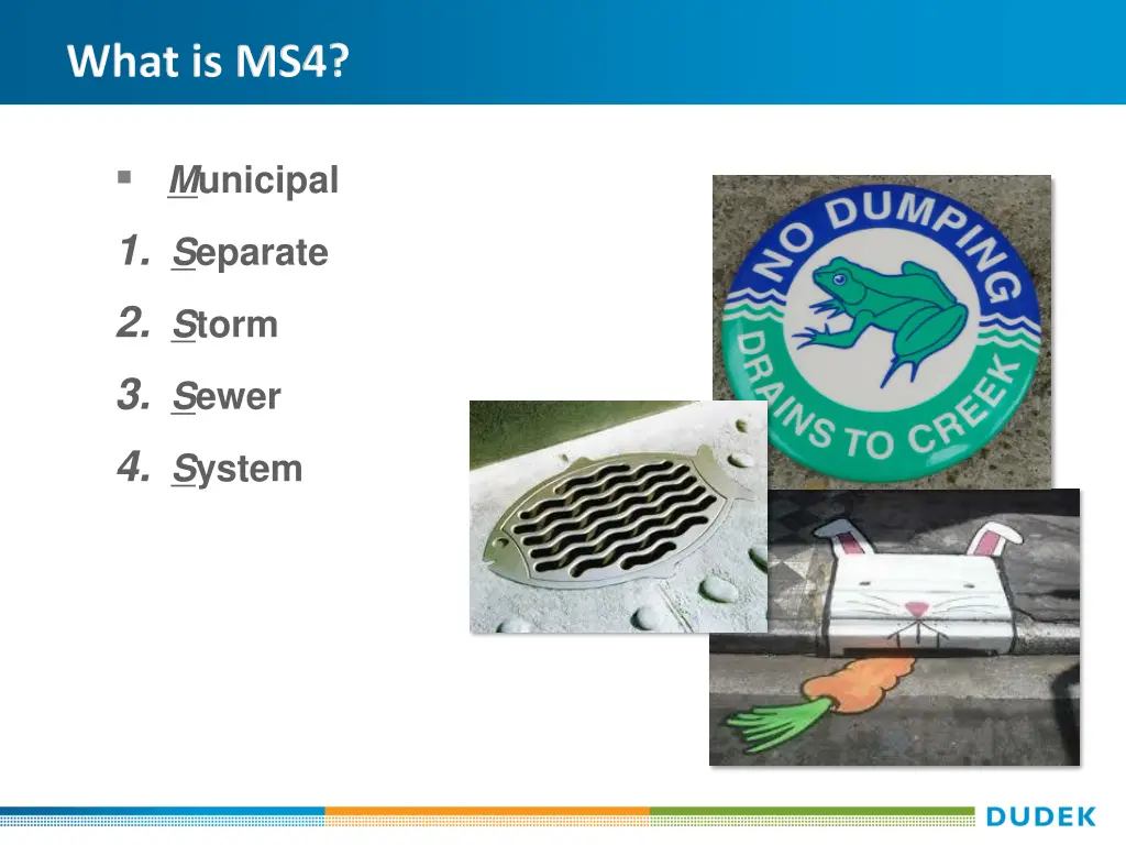 what is ms4
