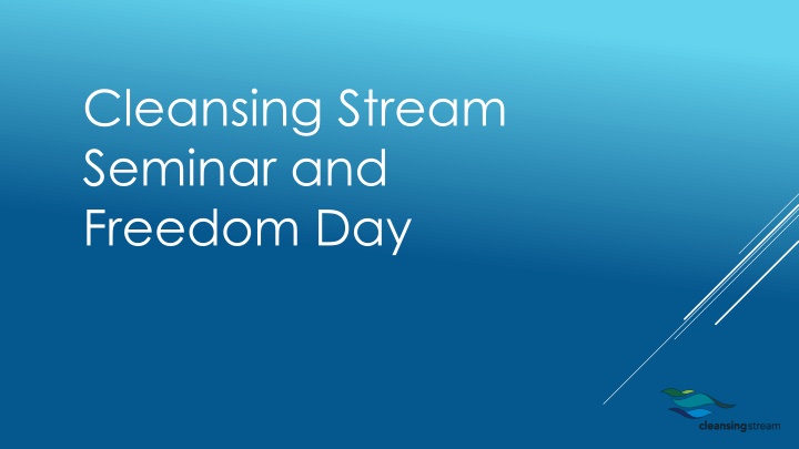 cleansing stream seminar and freedom day