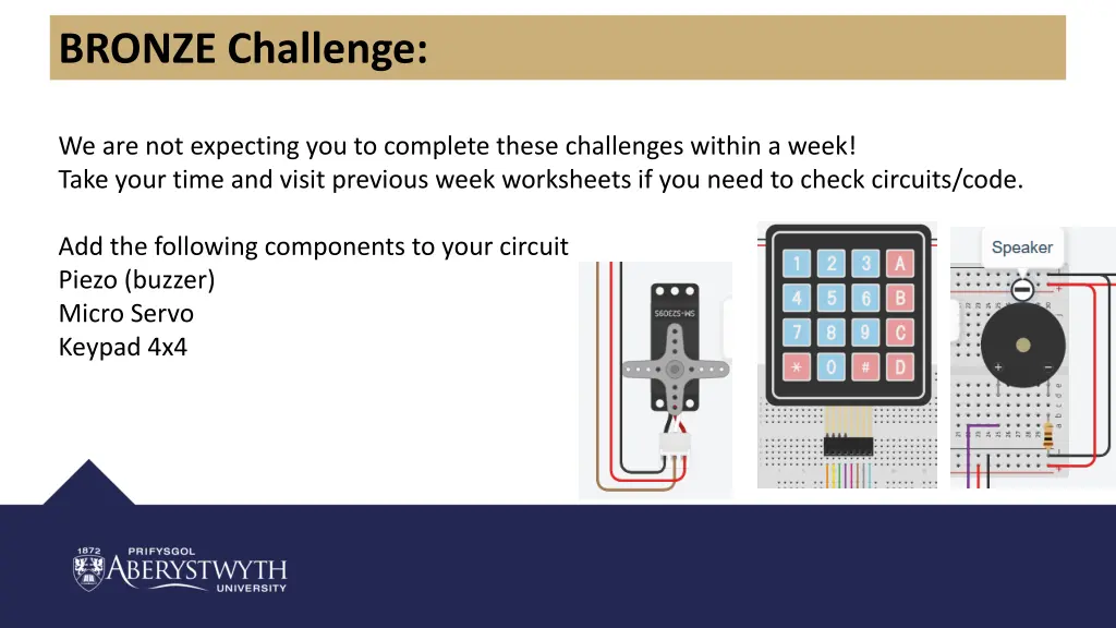 bronze challenge