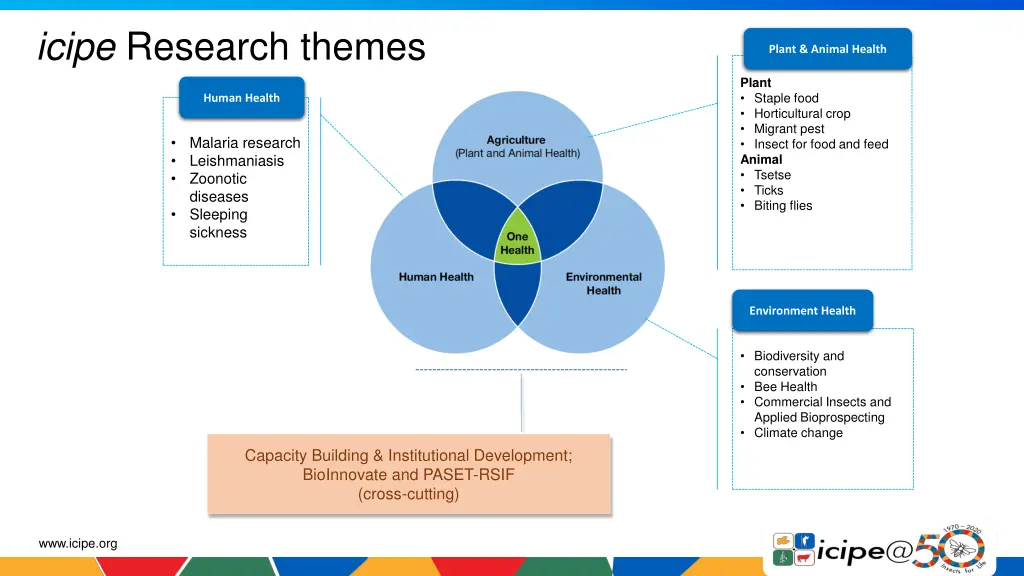 icipe research themes