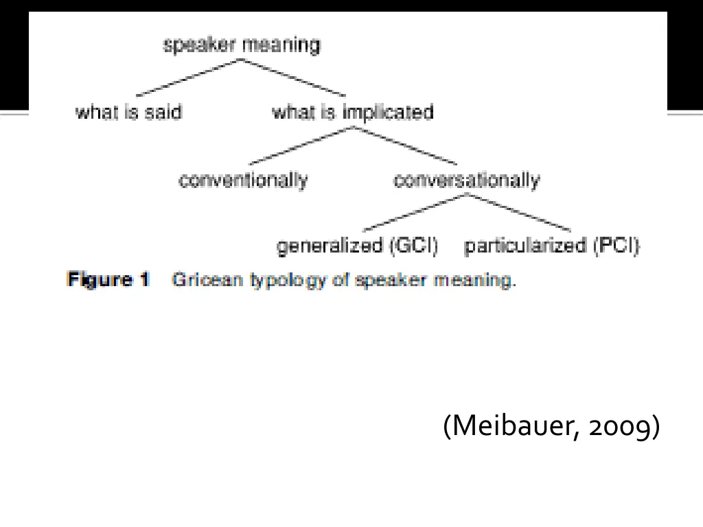 meibauer 2009