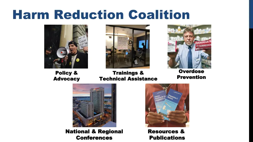 harm reduction coalition