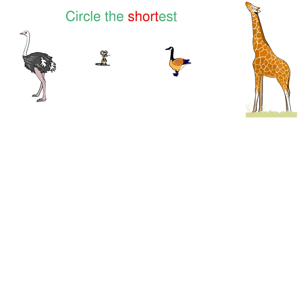 circle the shortest 2