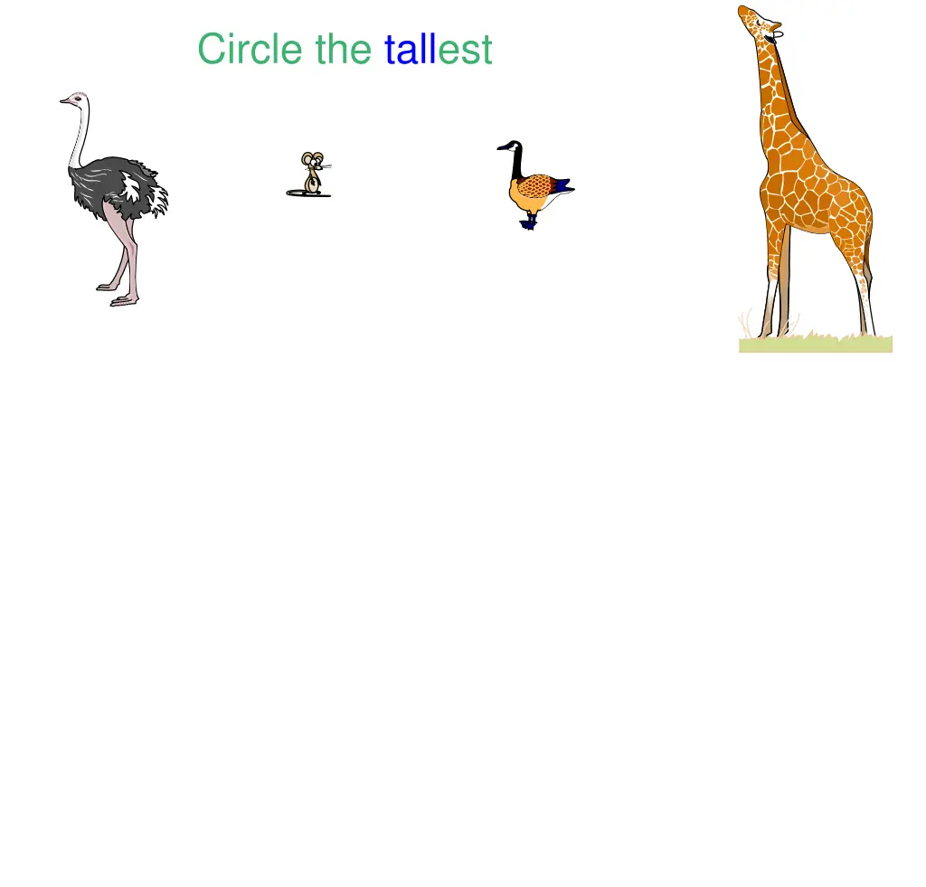 circle the tallest 2