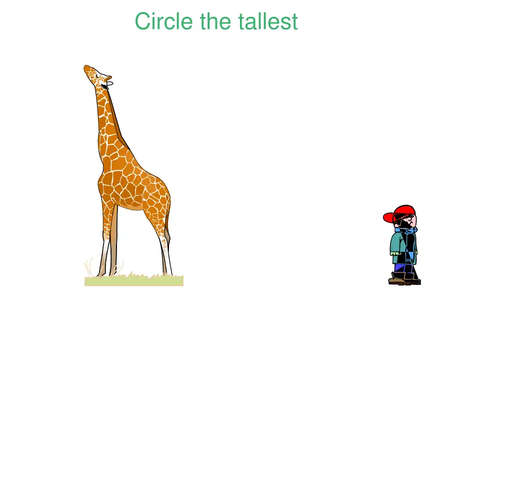 circle the tallest