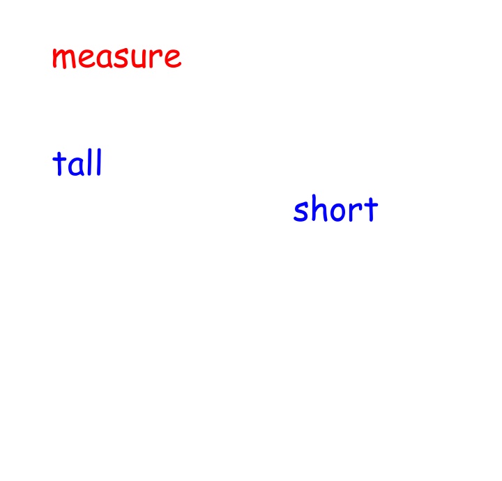 measure