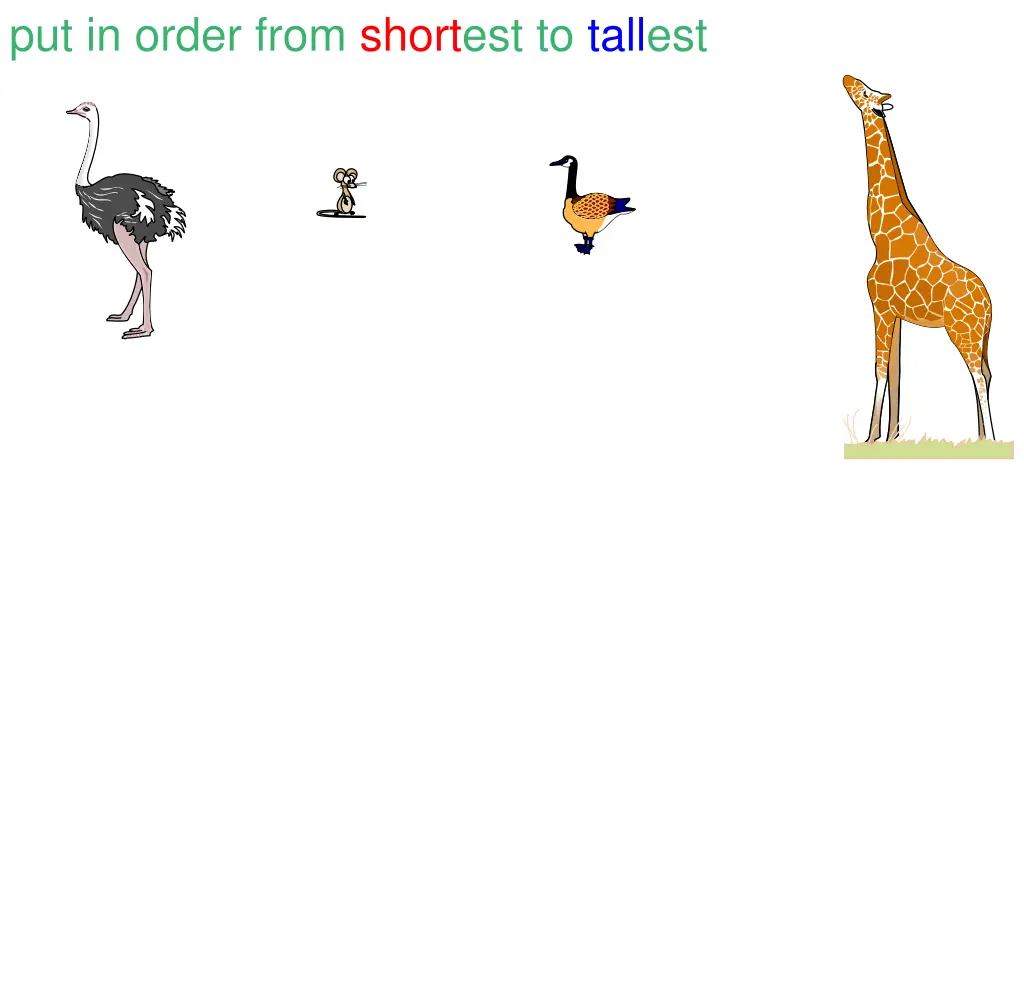 put in order from shortest to tallest