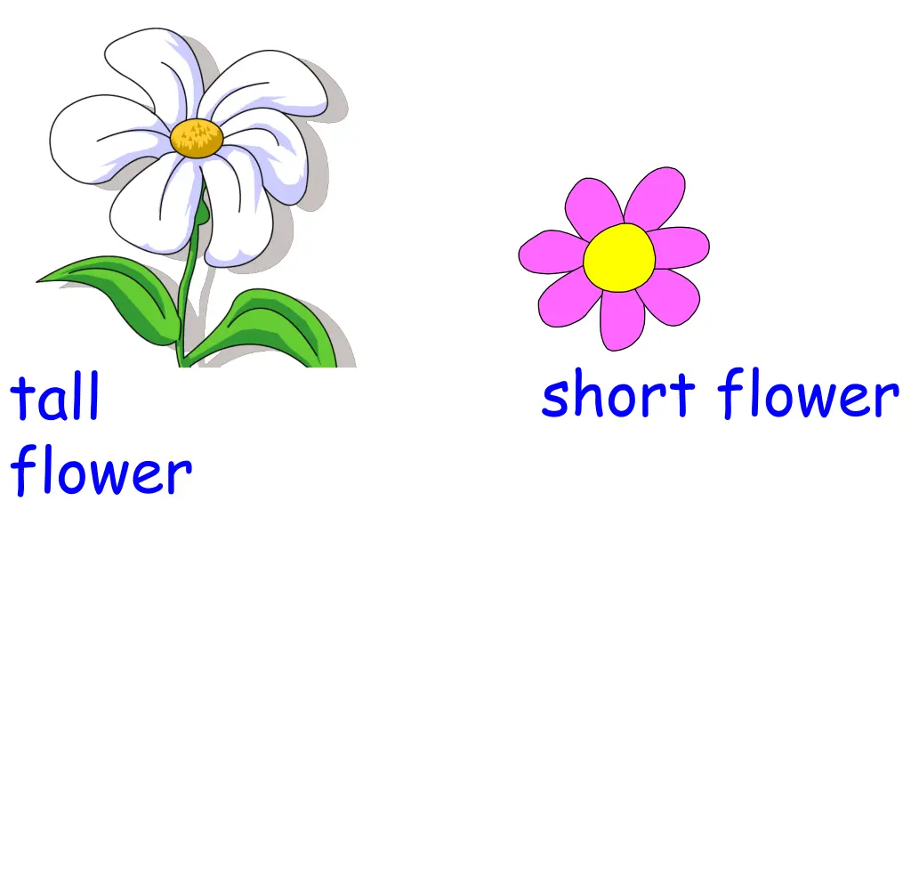 short flower