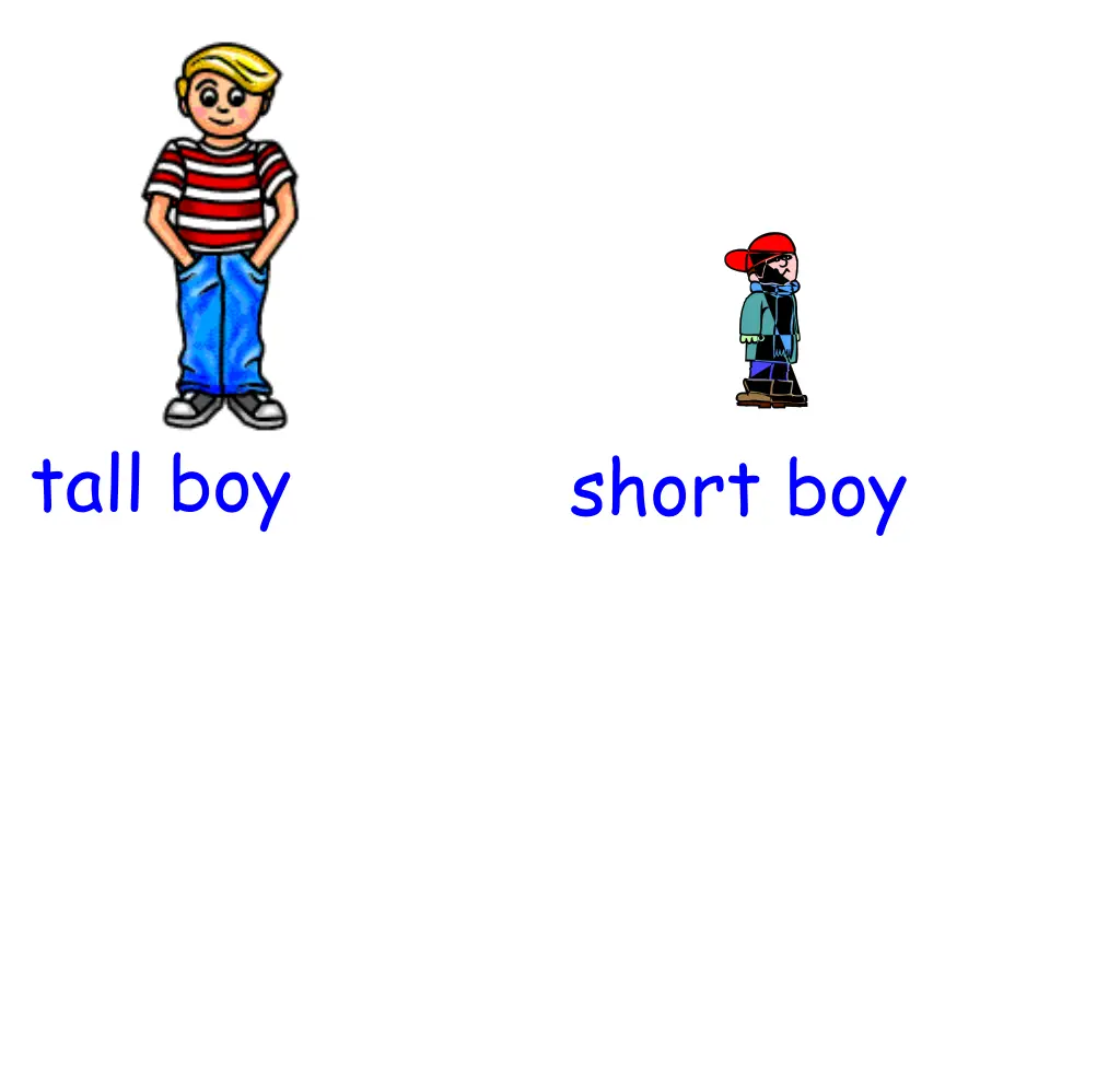 tall boy